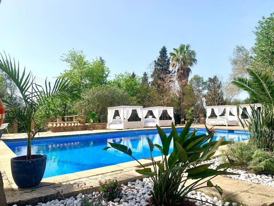 Patxo,absolute Erholung , Stilvoll,xxl Pool, Wifi, * Manacor (Mallorca)